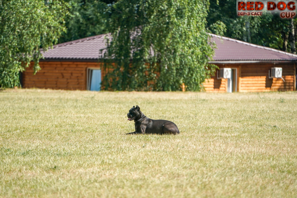 DSC05682.jpg