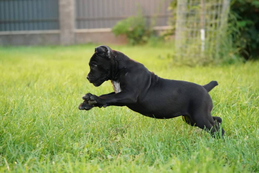 DSC09751.JPG