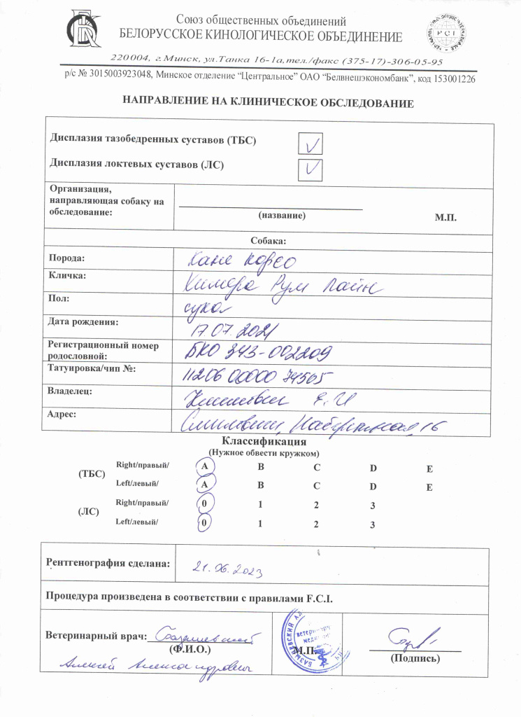 Химера суставы.jpg